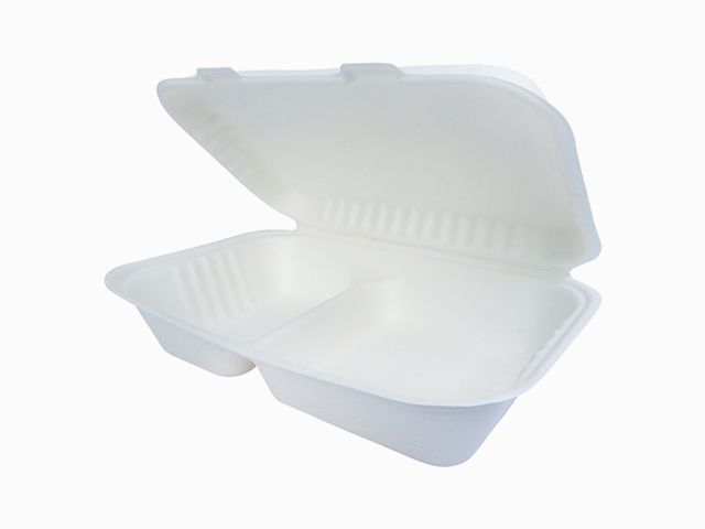2格一次性翻盖式环保快餐盒