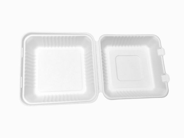 9"一次性翻盖式环保快餐盒