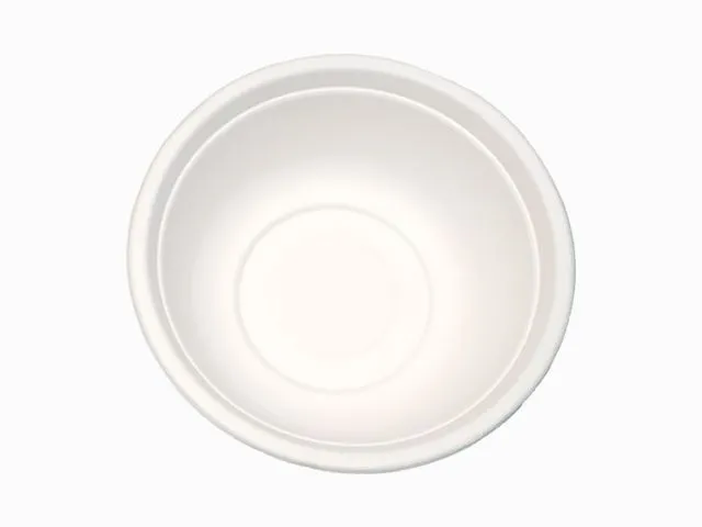 350ml 一次性环保可降解餐碗